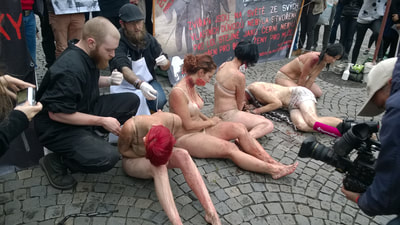 Photograph of the Animal Rights Performance - Prague 2014 
Flesh, soft white skin, blood, tears and sobbing from your family. Why!!!?
Empathy is not telepathy.  Watching cows and daughters going to steak house.
I am just a mouse. Hypocrite mouse. 
